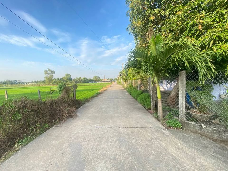 Đất thổ cư Hòa Khánh Nam 200m² giá 980 triệu - Đầu tư sinh lợi ngay!