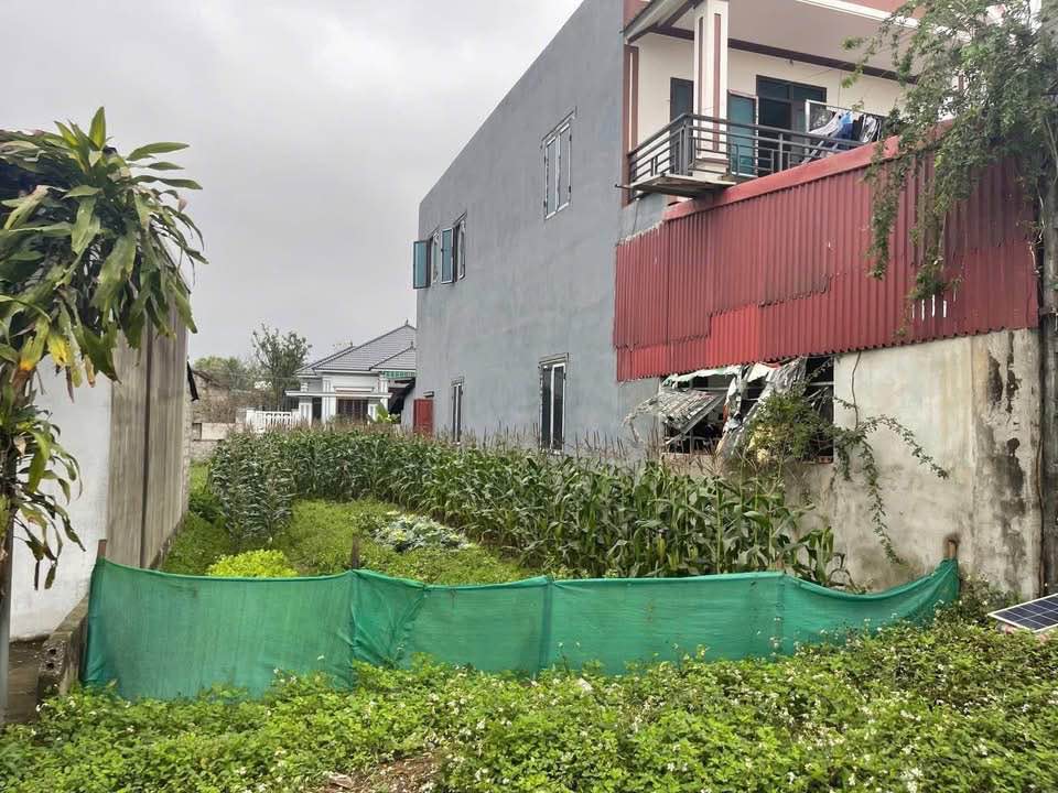 Đất Quảng Hải, Quảng Xương 156m² giá 800 triệu - Mặt tiền rộng, ô tô tránh nhau thoải mái!