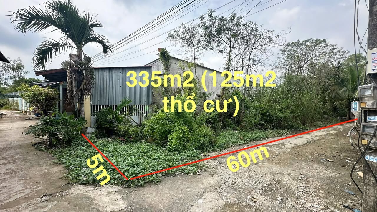 Đất nền Rạch Xẻo Lá Cái Răng 335m² giá 1.49 tỷ - Cơ hội đầu tư tuyệt vời!