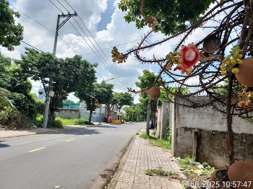 Đất nền mặt tiền Nguyễn Huệ, TP Sóc Trăng 425m² giá 3.5 tỷ - Đầu tư sinh lời ngay!