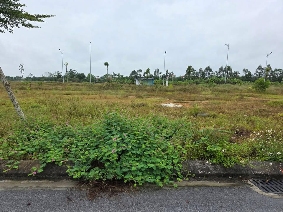 Đất nền dự án Sơn Quang, Trung Sơn 92.3m² - Vị trí đắc địa gần trung tâm thương mại!