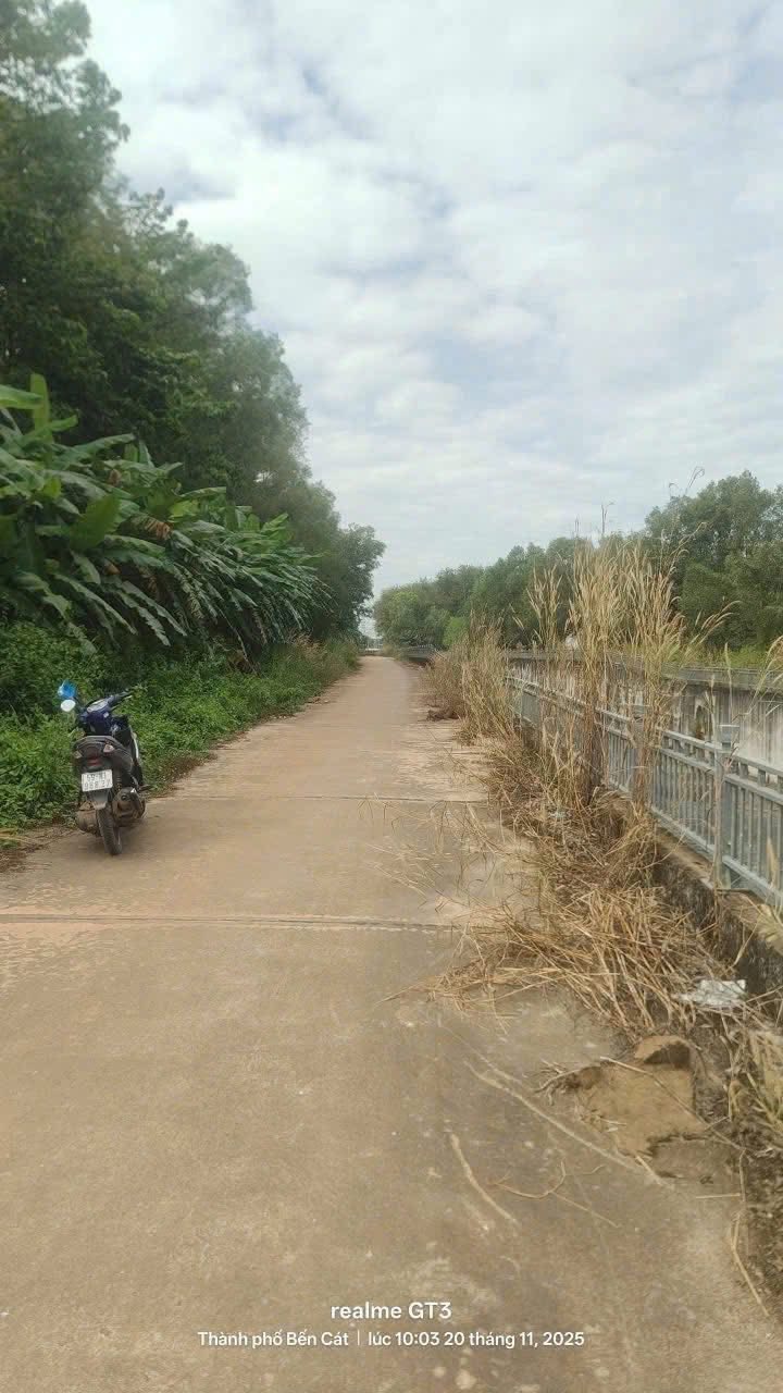 Đất thổ cư An Điền Bến Cát 3504m² giá 7.2 tỷ - Mặt tiền đường bê tông