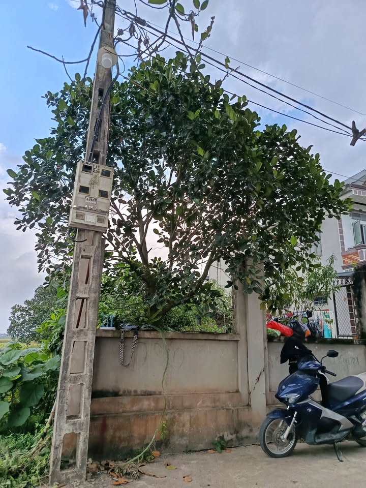 Đất nền Ninh Xá, Thuận Thành 100m² giá 2 tỷ - Đầu tư sinh lời ngay!