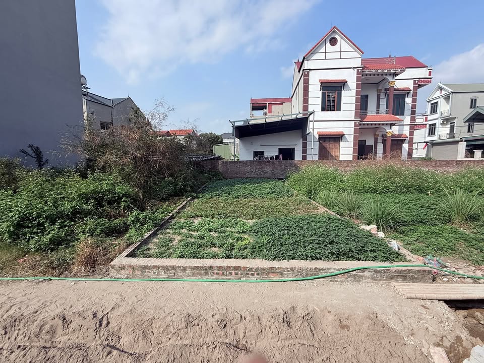 Đất nền Nguyên Khê Đông Anh 47m² giá thỏa thuận - Đường rộng ô tô tránh