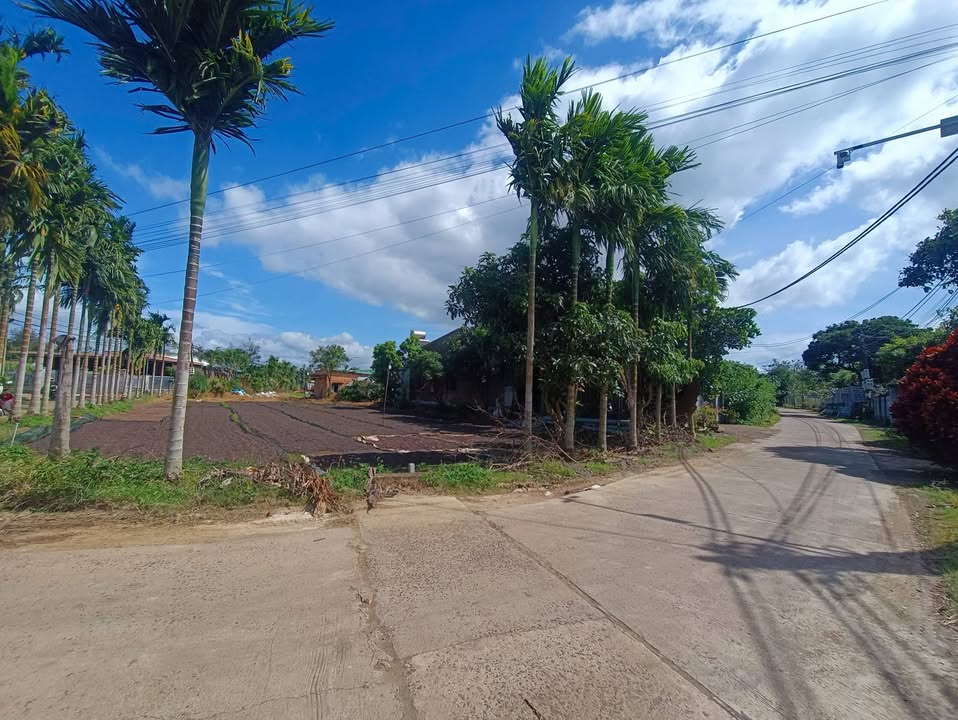 Đất nền Hòa Khánh, Buôn Ma Thuột 175m² giá 750 triệu - Đầu tư sinh lời ngay!