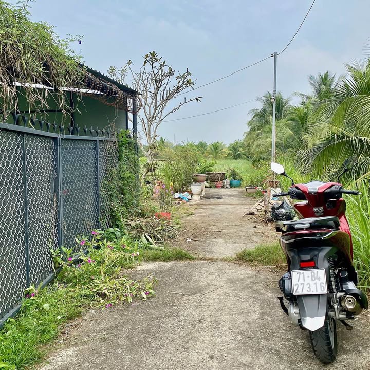 Đất nền Phú Hưng Bến Tre 103m² giá chỉ 295 triệu - Cơ hội đầu tư sinh lời!