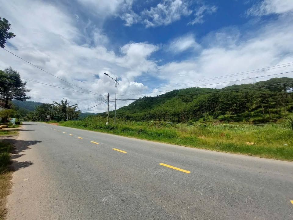 Đất mặt tiền đường Mimosa, phường 10, Đà Lạt 1876m² - Đầu tư sinh lời ngay!