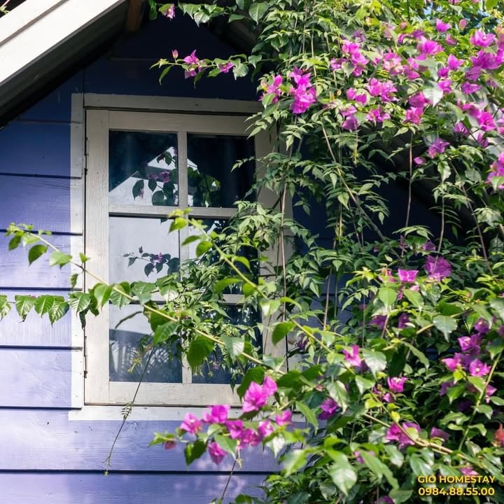 Phòng cho thuê Gió Homestay Đà Lạt 2.5 - 3 triệu/tháng - Không gian sống thân thiện