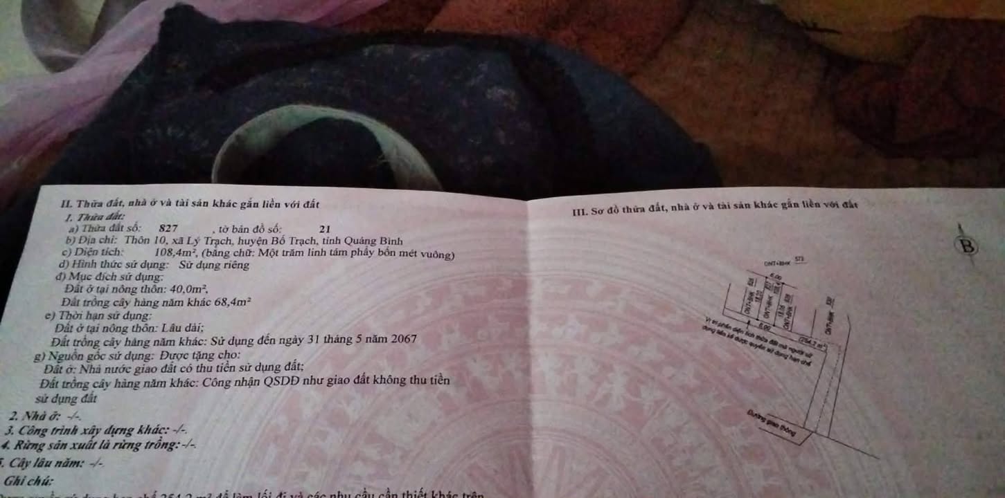Đất nền Lý Trạch, Bố Trạch, Quảng Bình 108m² giá tốt - Đầu tư sinh lời