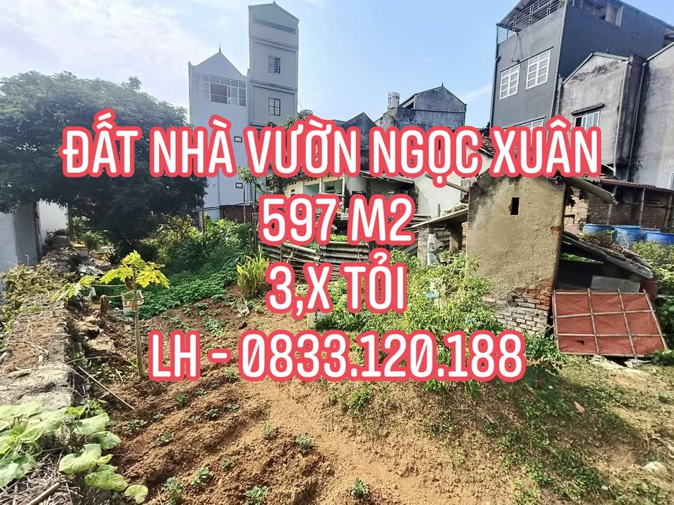 Đất nền Ngọc Xuân 597m² giá 3 tỷ - Phù hợp xây nhà vườn mơ ước!