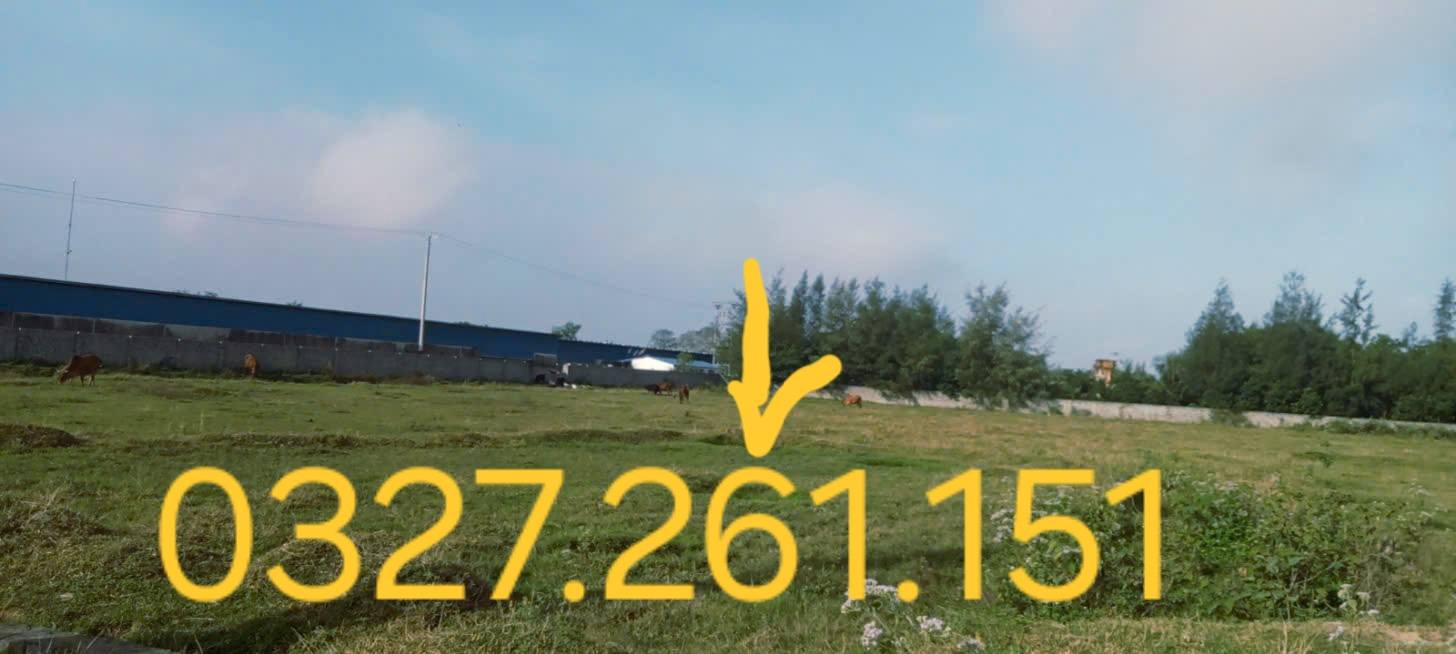 Đất Farm 15.000m² tại Định Hòa, Yên Định - Chính chủ, giá thương lượng!