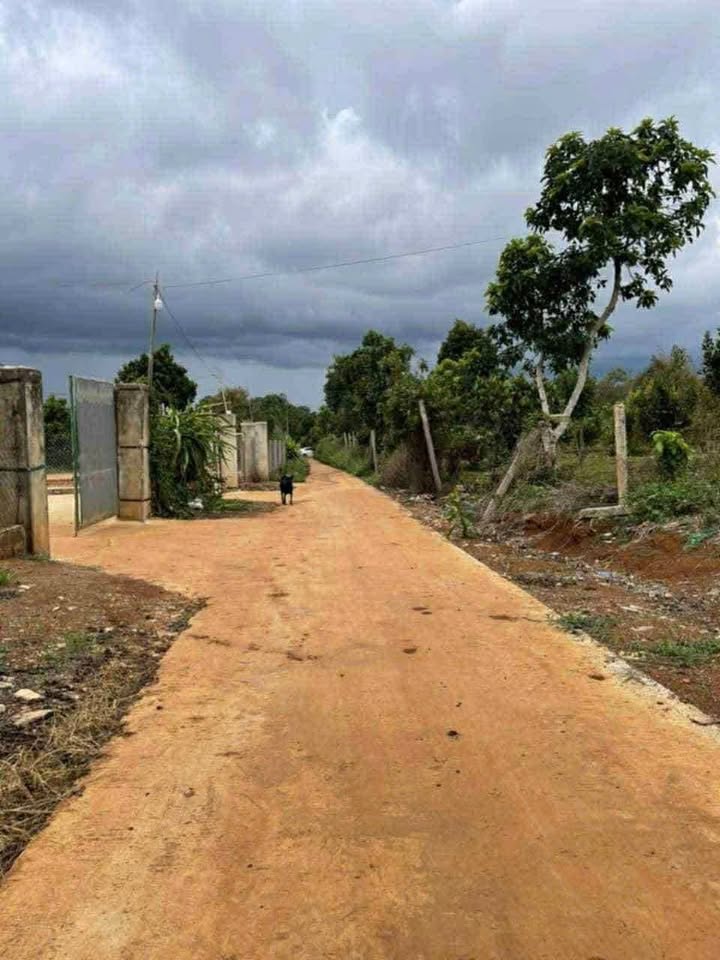 Bán đất hẻm Trần Nhật Duật - Đạt Hiếu, Buôn Hồ 275m² giá 920 triệu - Đường ô tô vào tận nơi!