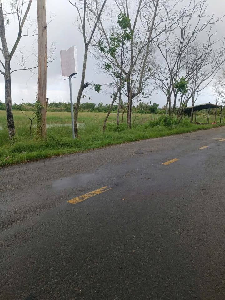 Đất nền Trần Văn Thời Cà Mau 4300m² - Vị trí đẹp, thuận tiện kinh doanh!