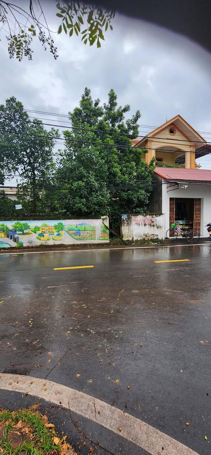 Đất nền kinh doanh Phúc Thọ 100m² - Chính chủ bán giá thỏa thuận!