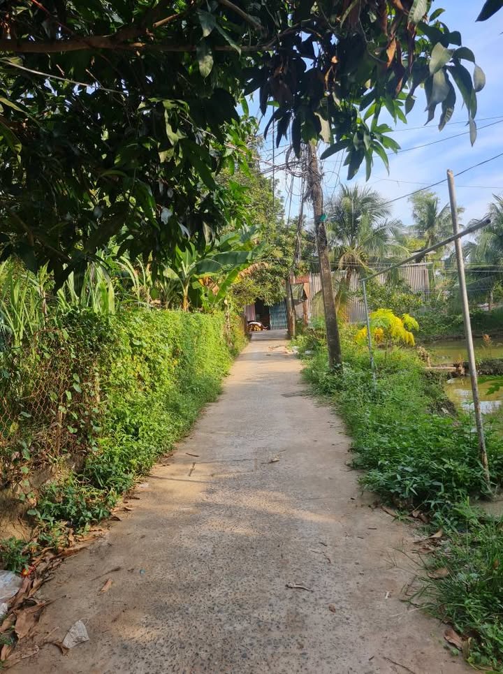 Nhà bán ấp Hội Gia, phường Mỹ Phong, 64,5m² - Giá chỉ 760 triệu!