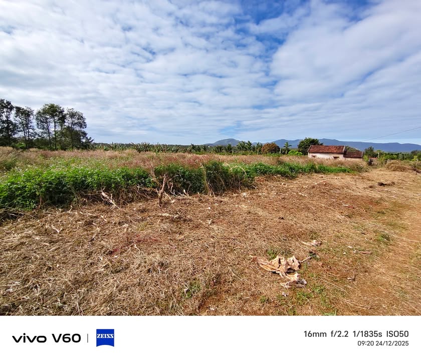 Đất nền xã Ia Hrung, huyện Ia Grai 650m² giá 245 triệu - Pháp lý rõ ràng, đầu tư sinh lời!