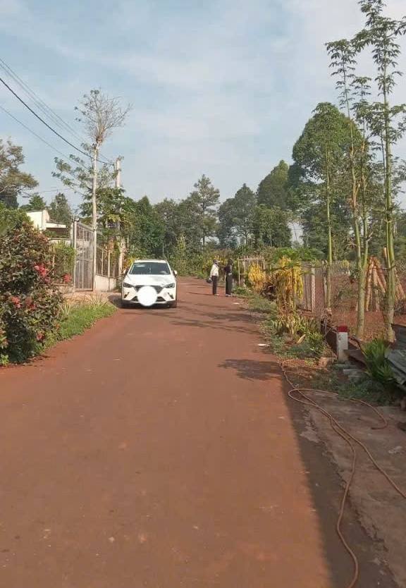 Đất thổ cư Bàu Chinh Châu Đức 175m² giá 650 triệu - Khu dân cư đông đúc!