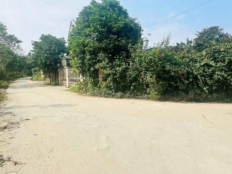 Đất nền Xuân Sơn - Sơn Tây 3565m² giá 5.7 tỷ - Lô góc 2 mặt tiền đầu tư lý tưởng!