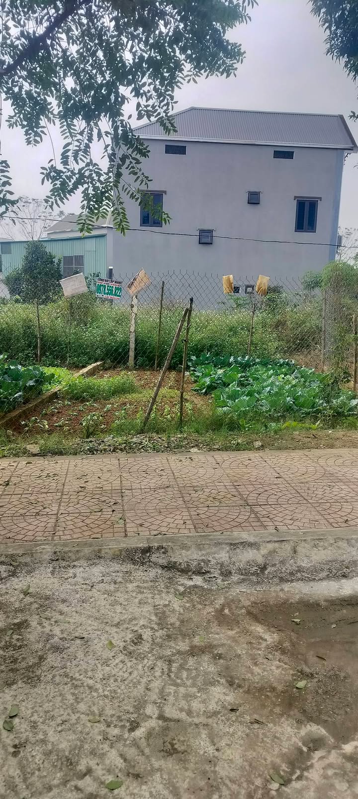 Đất thổ cư 108m² tại thôn 5, xã Tân Xã, giá 3.24 tỷ - Cơ hội đầu tư tuyệt vời!