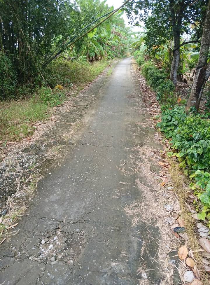 Bán đất Ấp Tắc Thủ, xã Hồ Thị Kỷ, 2700m² - Mặt tiền lộ giới 2,5m thuận lợi!