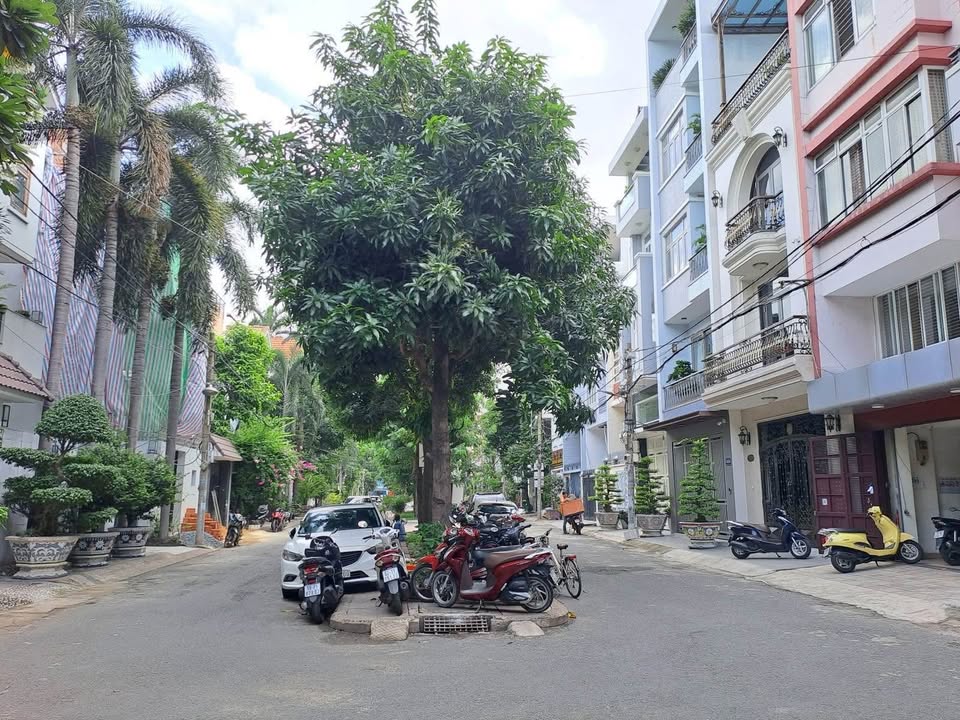 Nhà K300 Tân Bình 80m² giá 21.3 tỷ - Giảm 1.2 tỷ, thương lượng mạnh tay!