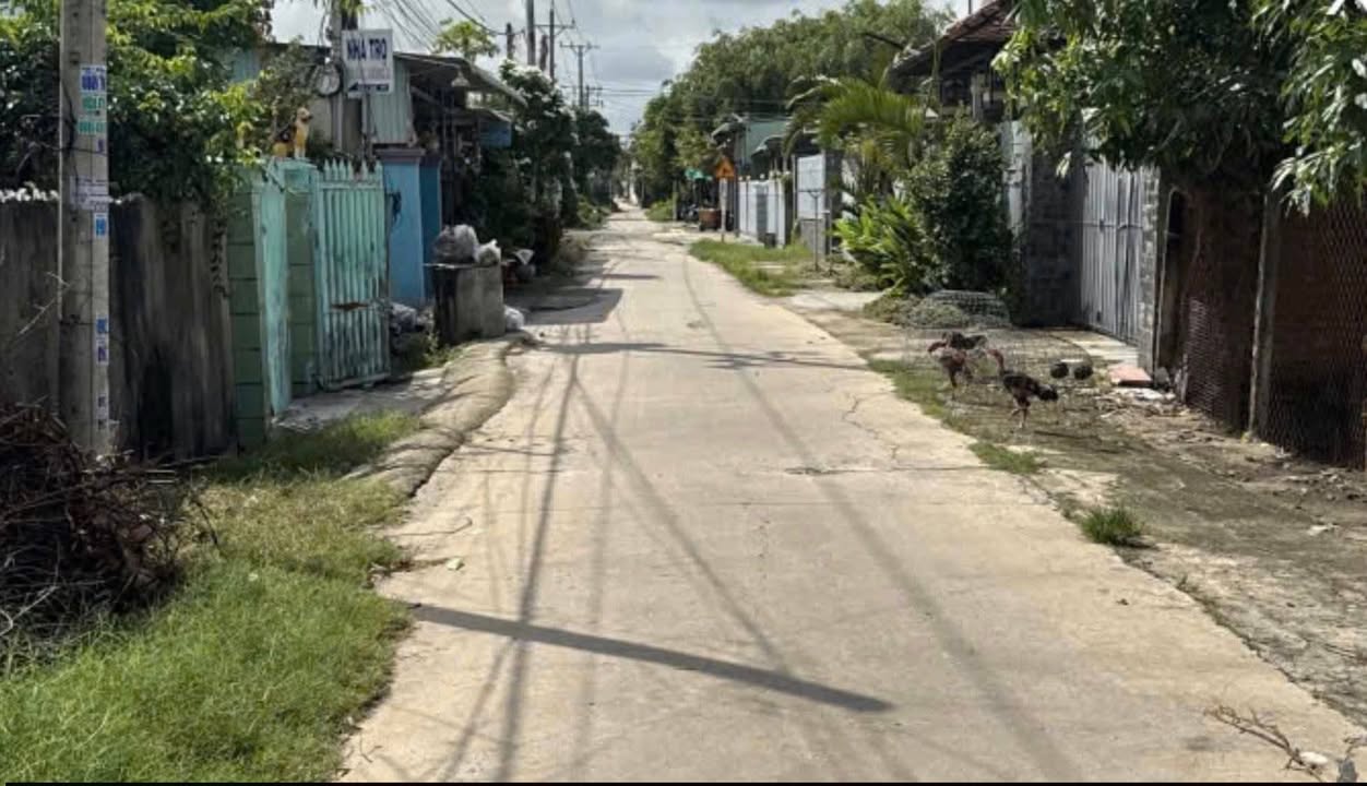 Đất nền 288m² tại Trâm Vàng 2, Gò Dầu chỉ 1.4 tỷ - Cơ hội đầu tư tốt!