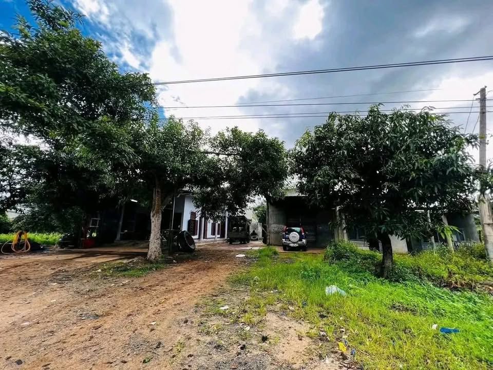 Nhà cấp 4 mặt tiền Quốc lộ 14, Thôn 5, Đắk Lắk - Chỉ 1.3 tỷ, tặng đất!