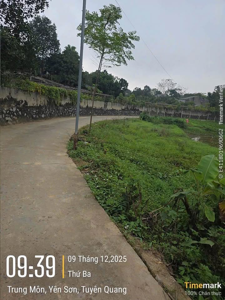 Đất nền TDP Trung Môn 14, phường Minh Xuân, TP Tuyên Quang 215m² giá 1.9 tỷ - Sổ hồng chính chủ!