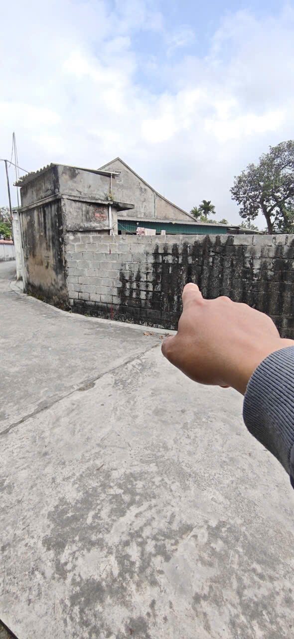 Đất nền Đặng Cương - An Dương 51m² - Giá thương lượng chính chủ