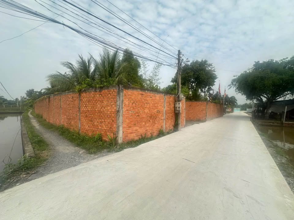 Đất nền Long Cang 1100m² giá 2.2 tỷ - Phân lô tiềm năng, đầu tư tuyệt vời!