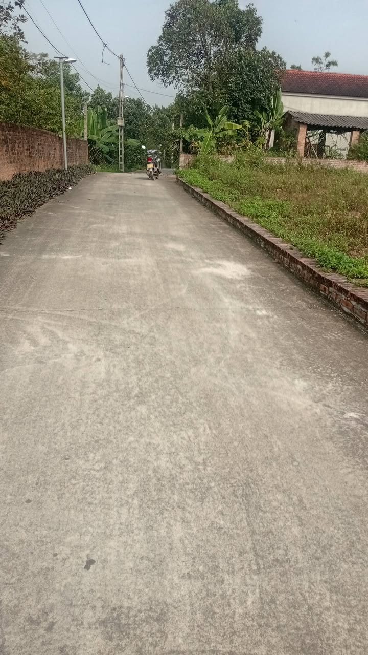 Đất nền Cẩm Lĩnh, Ba Vì 130m² giá 800 triệu - Đầu tư sinh lời hấp dẫn!