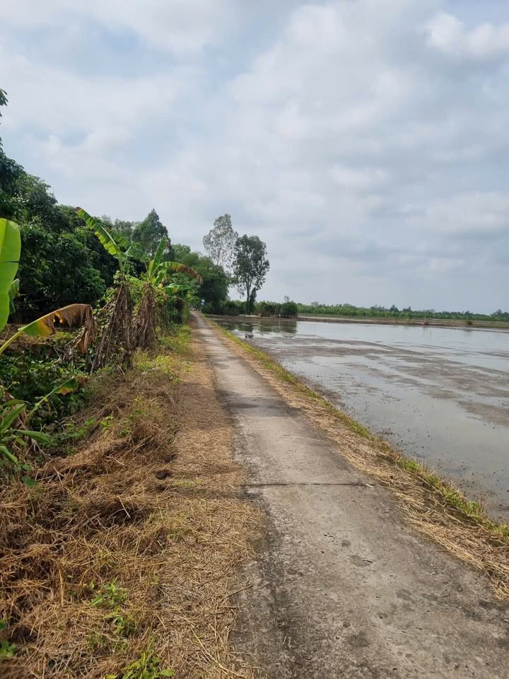 Đất nền 2000m² xã Trường Thắng - Giá chỉ 15 triệu - Mặt tiền rộng, đầu tư sinh lời!