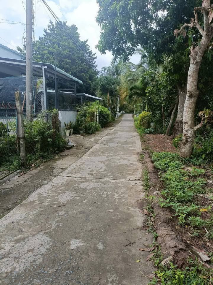 Đất vườn Cần Thơ 615m² giá 480 triệu - Đầu tư nghỉ dưỡng lý tưởng!