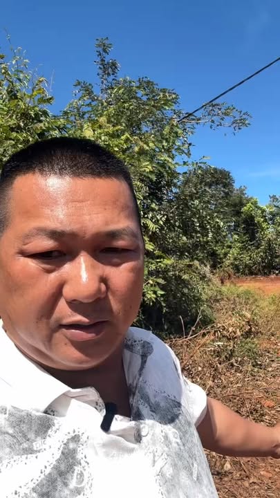 Đất nền 4.6ha xã Ia Ko, huyện Chư Sê, giá 6.7 tỷ - Cơ hội đầu tư tuyệt vời!