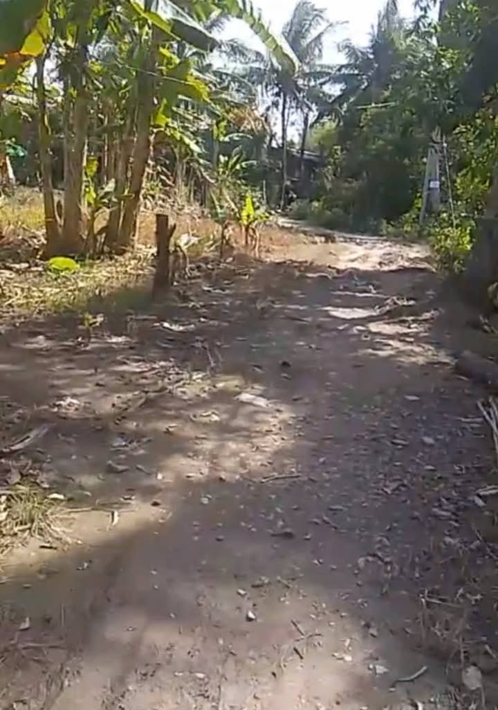 Đất nền 2000m² tại Long Tuyền, Cần Thơ - Giá chỉ 1,5 tỷ, cơ hội đầu tư hấp dẫn!