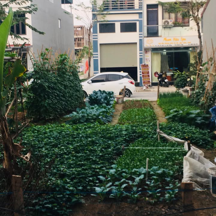 Lô đất Quang Minh 180m² giá 18 tỷ - Vị trí đắc địa trung tâm!