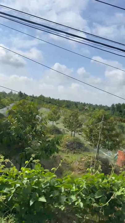 Đất nền 1.450m² tại Mỹ Đức Đông, Cái Bè chỉ 1.25 tỷ - Cơ hội đầu tư tuyệt vời!