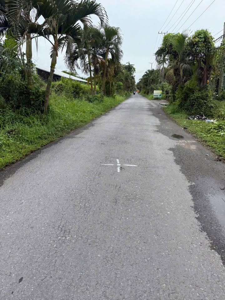 Đất nền Phú Tân Bến Tre 1000m² giá 4.2 tỷ - Tiềm năng phát triển vượt bậc!