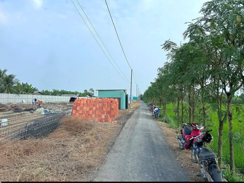 Đất nền mặt tiền nhựa xã Bình Nghị, Gò Công Đông, 165m² - Cơ hội đầu tư lý tưởng!