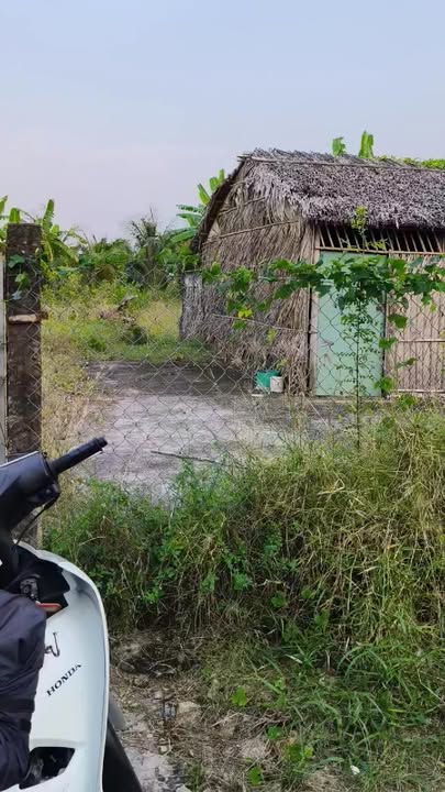 Đất nền ấp 1, xã Tân Tây, Gò Công Đông 1008m² giá 1.35 tỷ - Đất cao ráo, tiện ích xung quanh