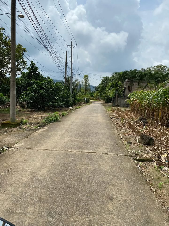 Đất nền Tà Lài, Tân Phú 2700m² giá 1.1 tỷ - Mặt tiền 44m thuận tiện!