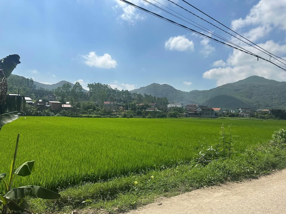 Đất nền Phước Thuận, Tuy Phước 870m² giá 5 tỷ - Cơ hội đầu tư lý tưởng!