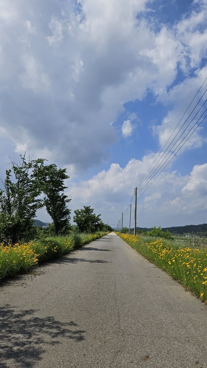 Mảnh vườn đẹp tại hồ Trị An, Thống Nhất, 1000m² - Giá chỉ 995 triệu!