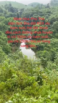 Đất nông nghiệp Minh Hòa Yên Lập 3ha giá 230 triệu - Pháp lý rõ ràng