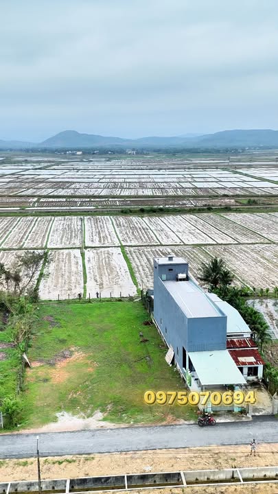 Đất nền Thôn Phú Khê, xã Tam Xuân 800m² giá 6.4 tỷ - Pháp lý rõ ràng, vị trí đẹp!