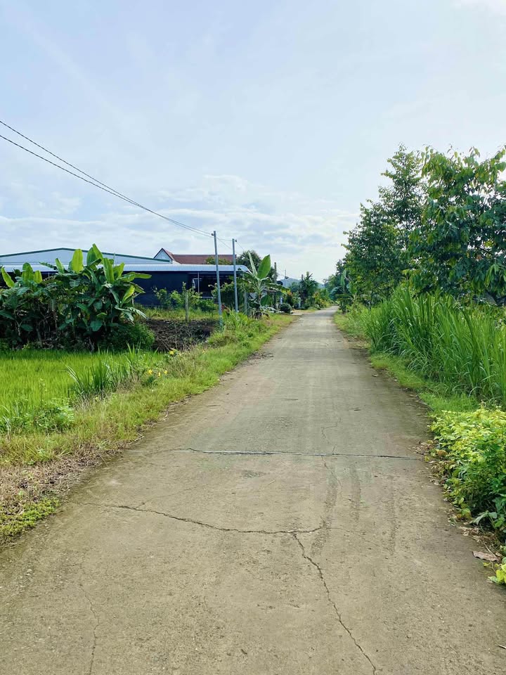 Đất thổ cư An Nhơn Đạ Tẻh 276m² giá 300 triệu - Sổ hồng chính chủ sẵn sàng!