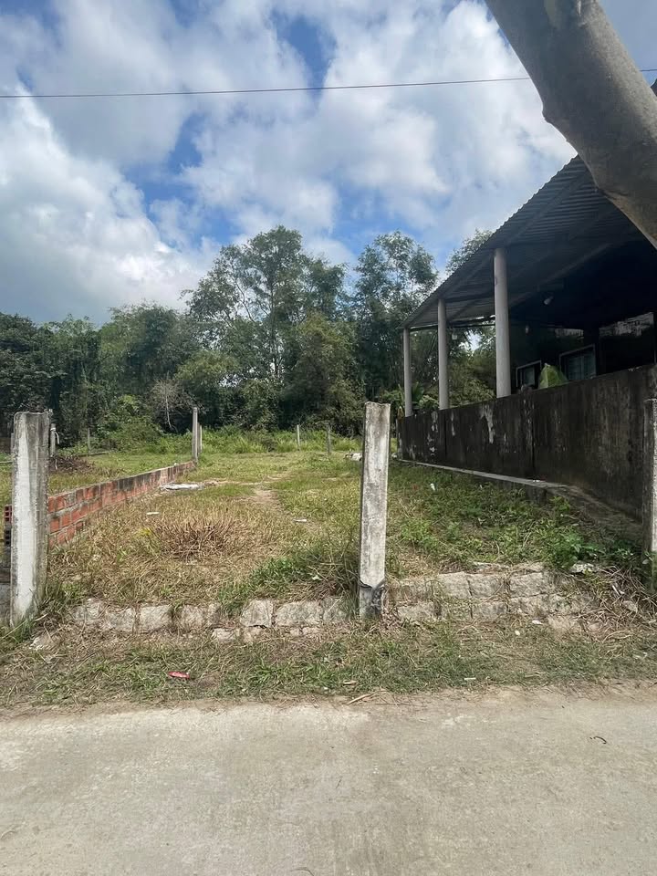 Đất thổ cư An Hòa 1, Tuy Phước 115m² giá 450 triệu - Cơ hội đầu tư hấp dẫn!