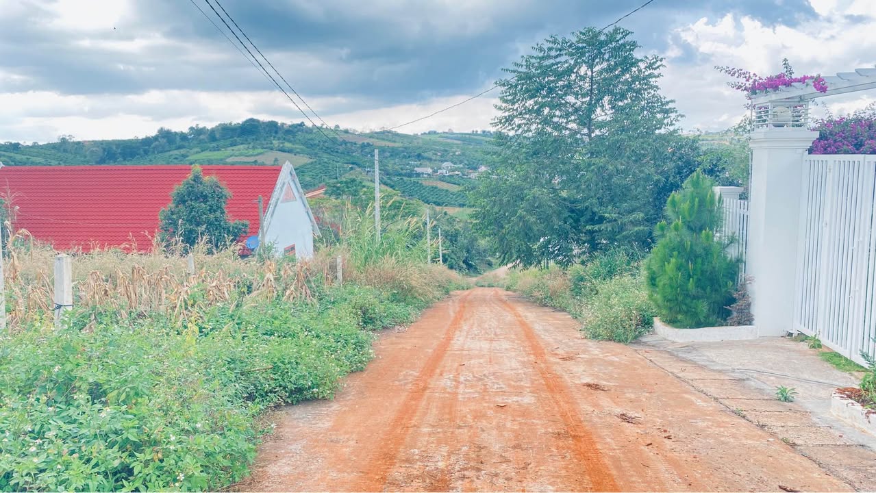 Đất nền 907m² tại Nam Ban, Lâm Hà - View đẹp, giá chỉ 2,3 tỷ!