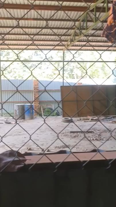 Nhà xưởng 5000m² tại Phước Hòa, Phú Giáo - Bán gấp chỉ 11 tỷ