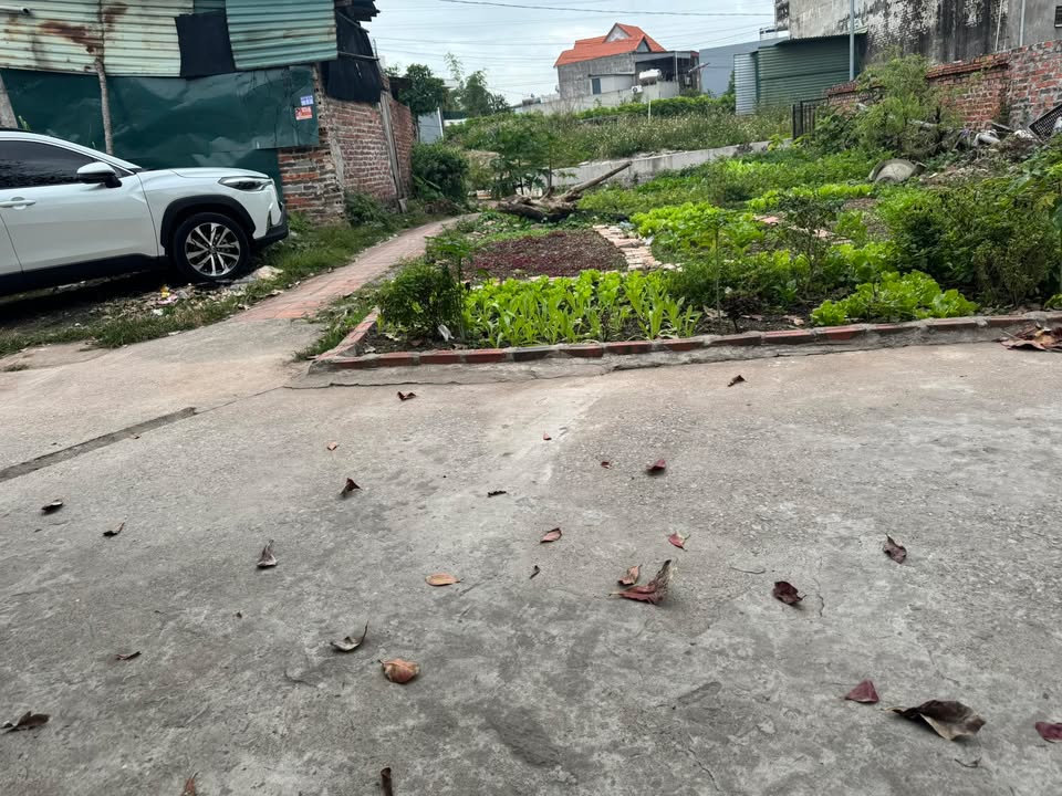 Bán ô góc mặt tiền chợ Hà Khẩu 50m² giá 1 tỷ - Cơ hội đầu tư tuyệt vời!